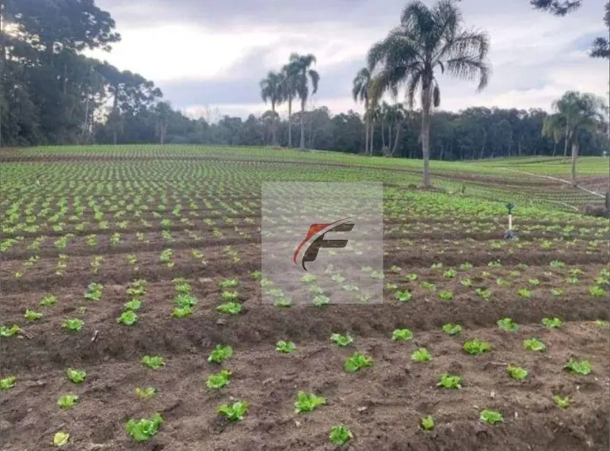 Terreno / Lote à venda, 21000m2 em Umbará, Curitiba - PR - imagem 2 Foto 2 de Terreno / Lote à venda, 21000m2 em Umbará, Curitiba - PR
