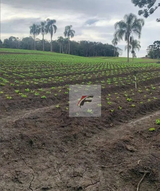 Terreno / Lote à venda, 21000m2 em Umbará, Curitiba - PR - imagem 3 Foto 3 de Terreno / Lote à venda, 21000m2 em Umbará, Curitiba - PR