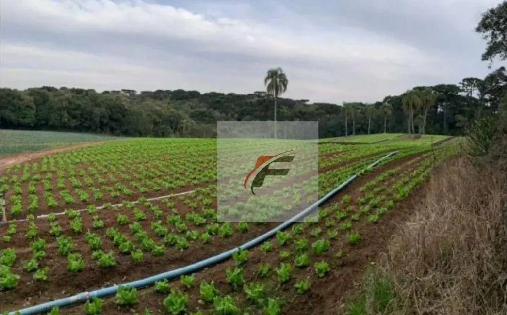 Terreno / Lote à venda, 21000m2 em Umbará, Curitiba - PR - imagem 1 Foto 1 de Terreno / Lote à venda, 21000m2 em Umbará, Curitiba - PR