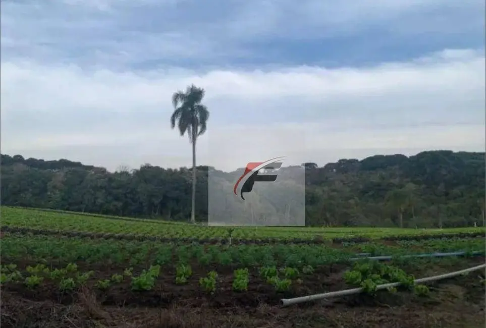 Terreno / Lote à venda, 21000m2 em Umbará, Curitiba - PR - imagem 5 Foto 5 de Terreno / Lote à venda, 21000m2 em Umbará, Curitiba - PR