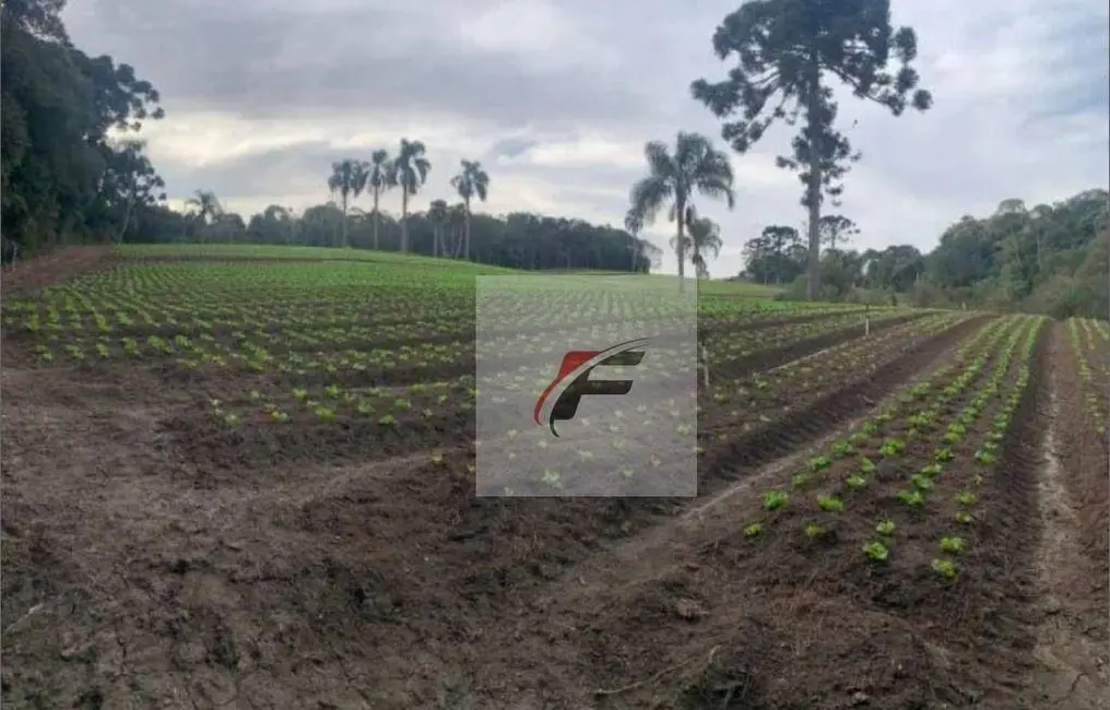 Terreno / Lote à venda, 21000m2 em Umbará, Curitiba - PR - imagem 4 Foto 4 de Terreno / Lote à venda, 21000m2 em Umbará, Curitiba - PR
