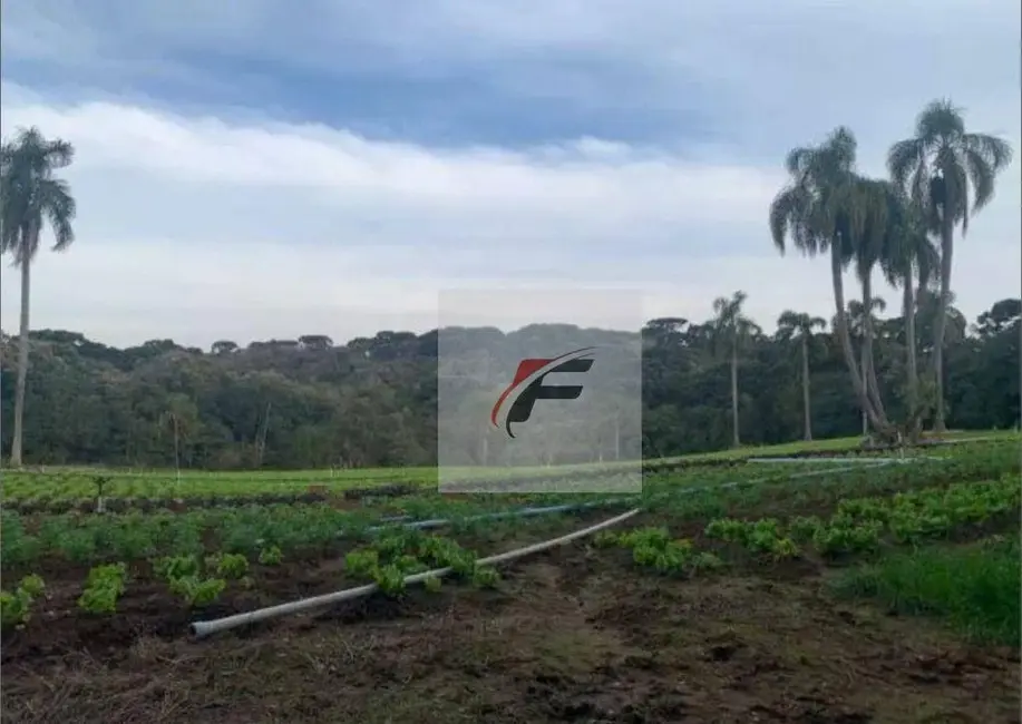 Terreno / Lote à venda, 21000m2 em Umbará, Curitiba - PR - imagem 6 Foto 6 de Terreno / Lote à venda, 21000m2 em Umbará, Curitiba - PR