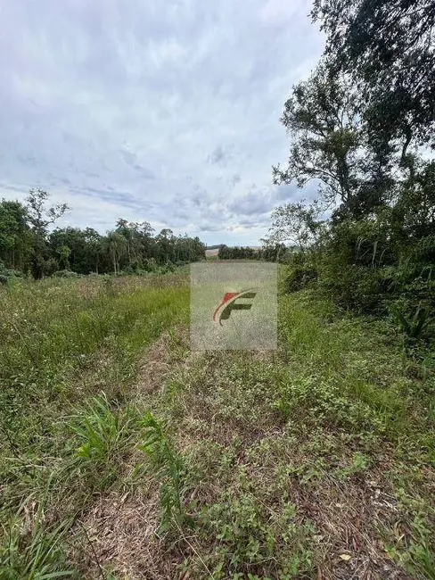 Foto 7 de Chácara com 1 quarto à venda, 108900m2 em Centro, Lapa - PR