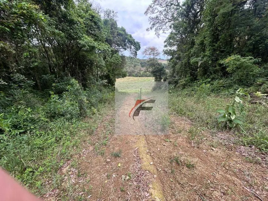 Foto 3 de Chácara com 1 quarto à venda, 108900m2 em Centro, Lapa - PR