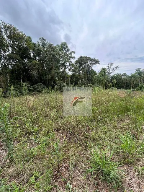 Foto 9 de Chácara com 1 quarto à venda, 108900m2 em Centro, Lapa - PR