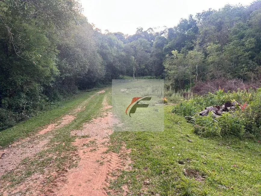 Chácara com 2 quartos à venda, 290400m2 em Centro, Contenda - PR - imagem 6 Foto 6 de Chácara com 2 quartos à venda, 290400m2 em Centro, Contenda - PR