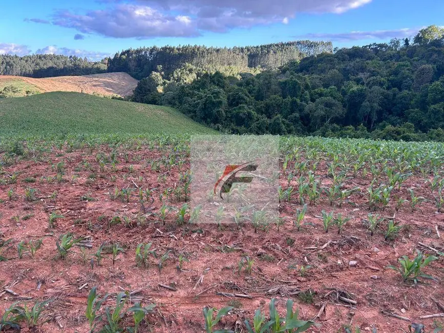 Chácara com 2 quartos à venda, 290400m2 em Centro, Contenda - PR - imagem 2 Foto 2 de Chácara com 2 quartos à venda, 290400m2 em Centro, Contenda - PR