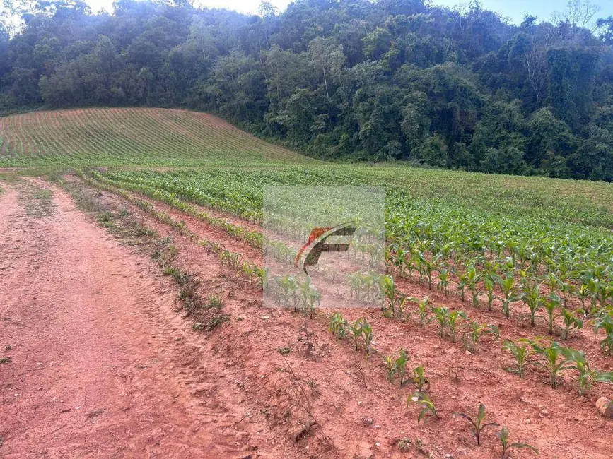 Chácara com 2 quartos à venda, 290400m2 em Centro, Contenda - PR - imagem 7 Foto 7 de Chácara com 2 quartos à venda, 290400m2 em Centro, Contenda - PR