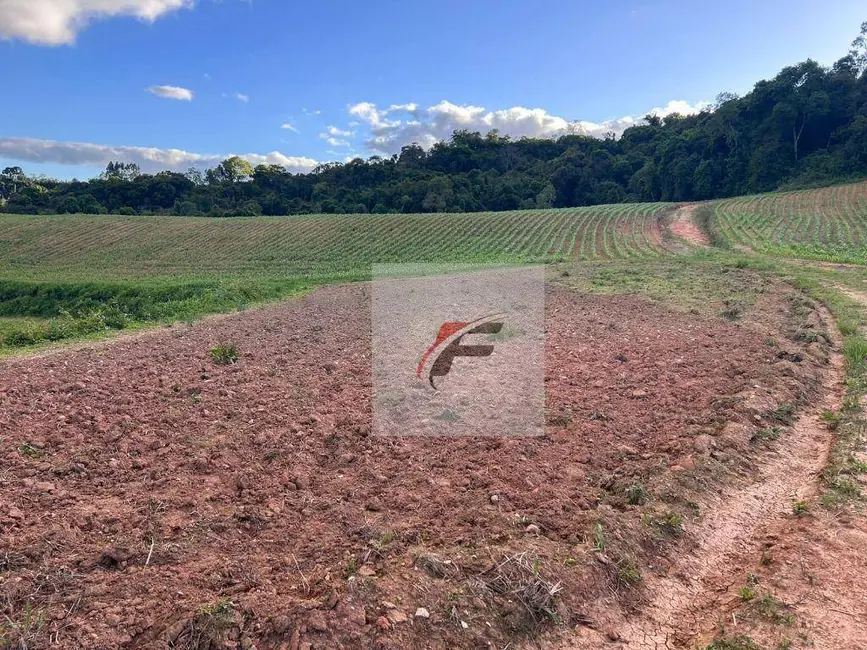 Chácara com 2 quartos à venda, 290400m2 em Centro, Contenda - PR - imagem 8 Foto 8 de Chácara com 2 quartos à venda, 290400m2 em Centro, Contenda - PR