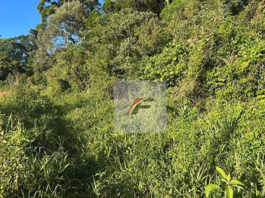 Chácara com 2 quartos à venda, 290400m2 em Centro, Contenda - PR - imagem 3 Foto 3 de Chácara com 2 quartos à venda, 290400m2 em Centro, Contenda - PR