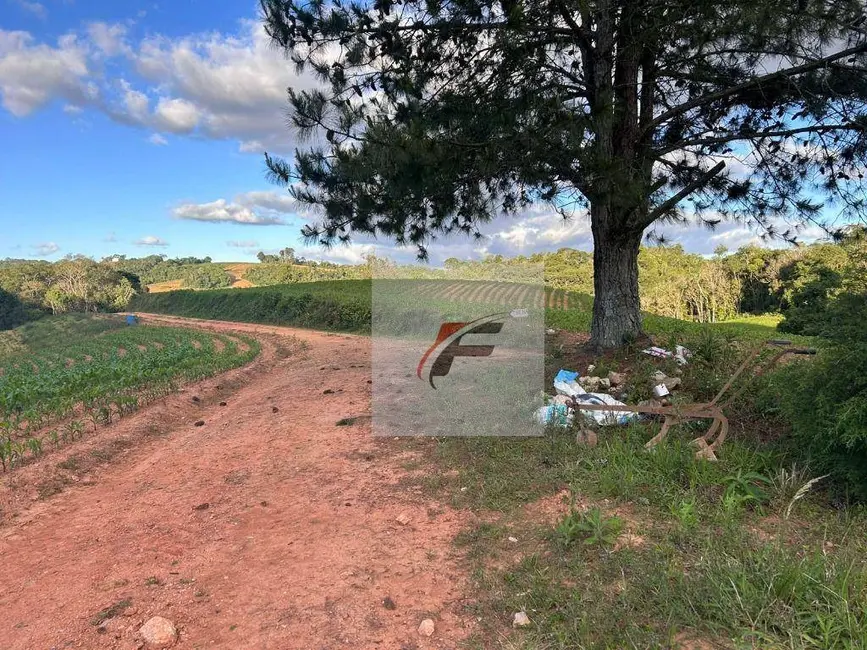 Chácara com 2 quartos à venda, 290400m2 em Centro, Contenda - PR - imagem 9 Foto 9 de Chácara com 2 quartos à venda, 290400m2 em Centro, Contenda - PR