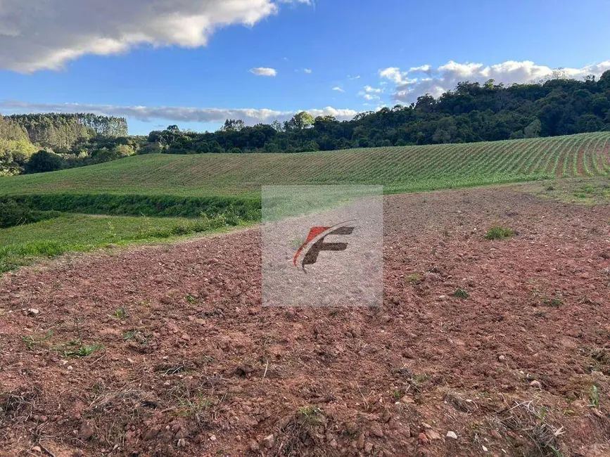 Chácara com 2 quartos à venda, 290400m2 em Centro, Contenda - PR - imagem 1 Foto 1 de Chácara com 2 quartos à venda, 290400m2 em Centro, Contenda - PR