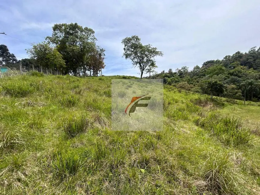 Foto 3 de Chácara com 4 quartos à venda, 16777215m2 em Quitandinha - PR