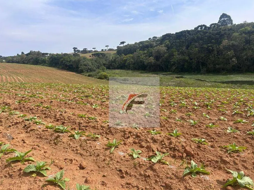 Foto 8 de Chácara com 3 quartos à venda, 16777215m2 em Centro, Quitandinha - PR