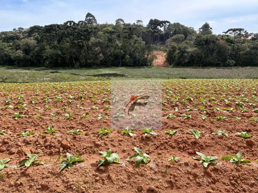 Foto 2 de Chácara com 3 quartos à venda, 16777215m2 em Centro, Quitandinha - PR