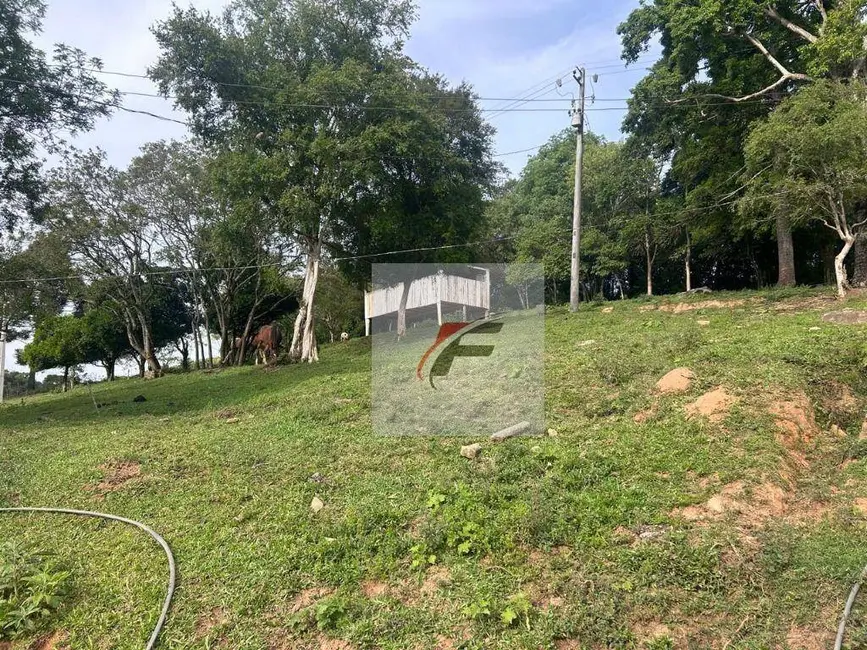 Foto 7 de Chácara com 3 quartos à venda, 16777215m2 em Centro, Quitandinha - PR