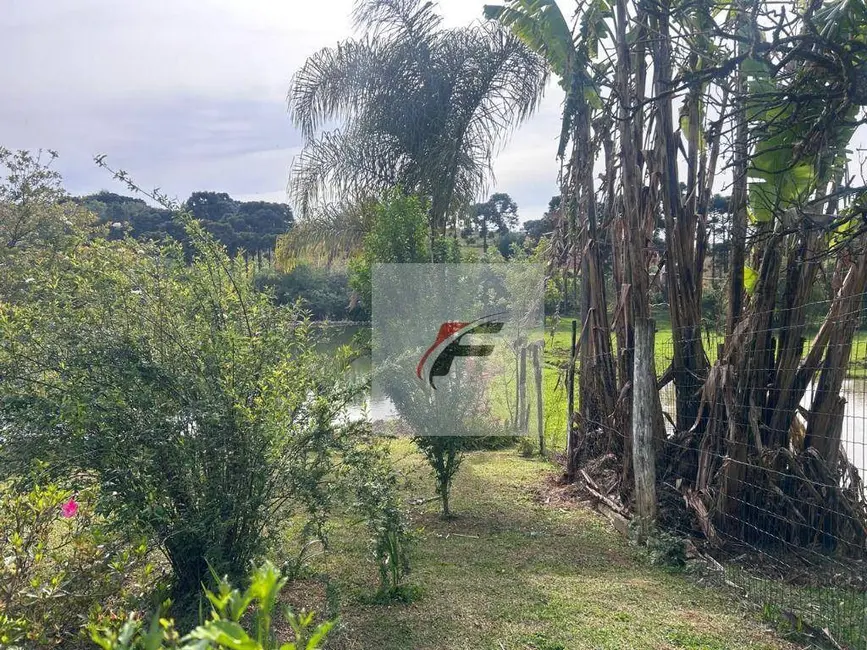 Foto 9 de Chácara com 3 quartos à venda, 16777215m2 em Centro, Quitandinha - PR