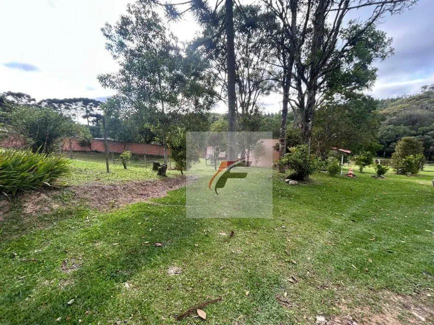 Foto 2 de Chácara com 4 quartos à venda, 7800m2 em Mandirituba - PR