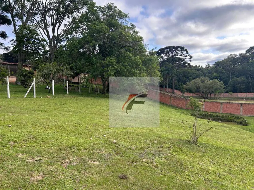 Foto 4 de Chácara com 4 quartos à venda, 7800m2 em Mandirituba - PR