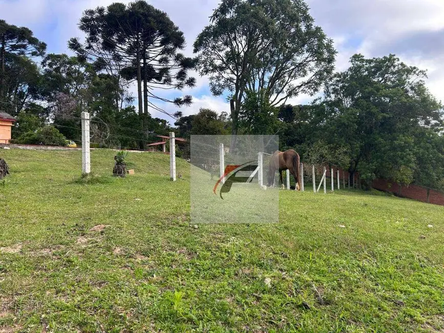 Foto 7 de Chácara com 4 quartos à venda, 7800m2 em Mandirituba - PR