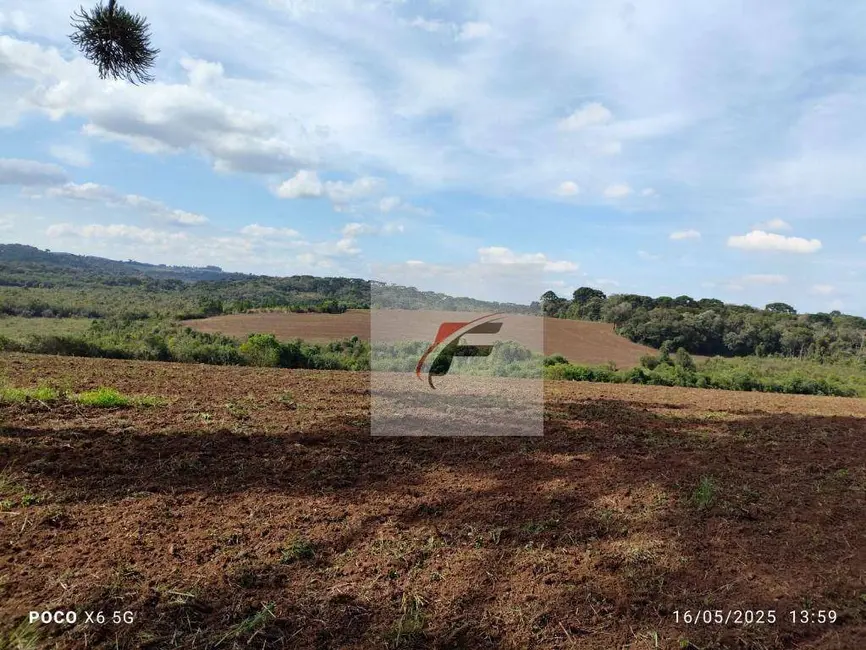 Foto 8 de Fazenda / Haras à venda, 677600m2 em Quitandinha - PR