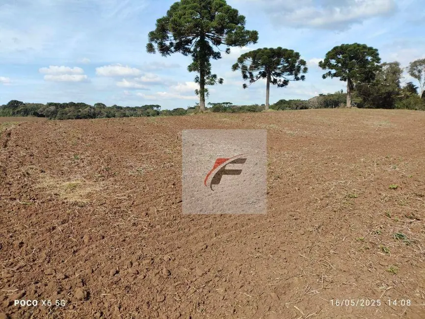 Foto 5 de Fazenda / Haras à venda, 677600m2 em Quitandinha - PR