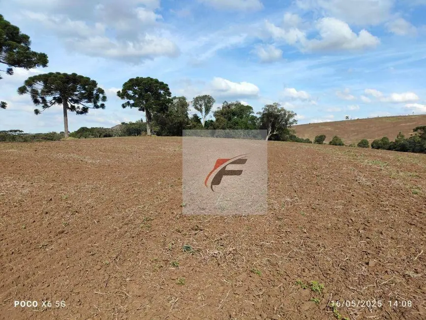 Foto 7 de Fazenda / Haras à venda, 677600m2 em Quitandinha - PR