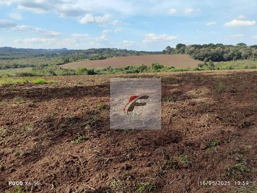 Foto 9 de Fazenda / Haras à venda, 677600m2 em Quitandinha - PR