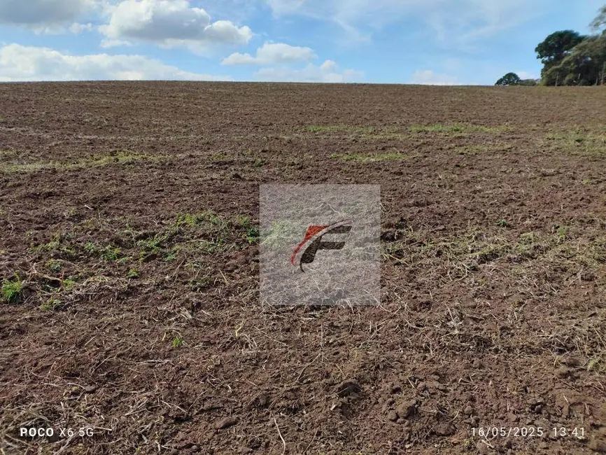 Foto 1 de Fazenda / Haras à venda, 677600m2 em Quitandinha - PR