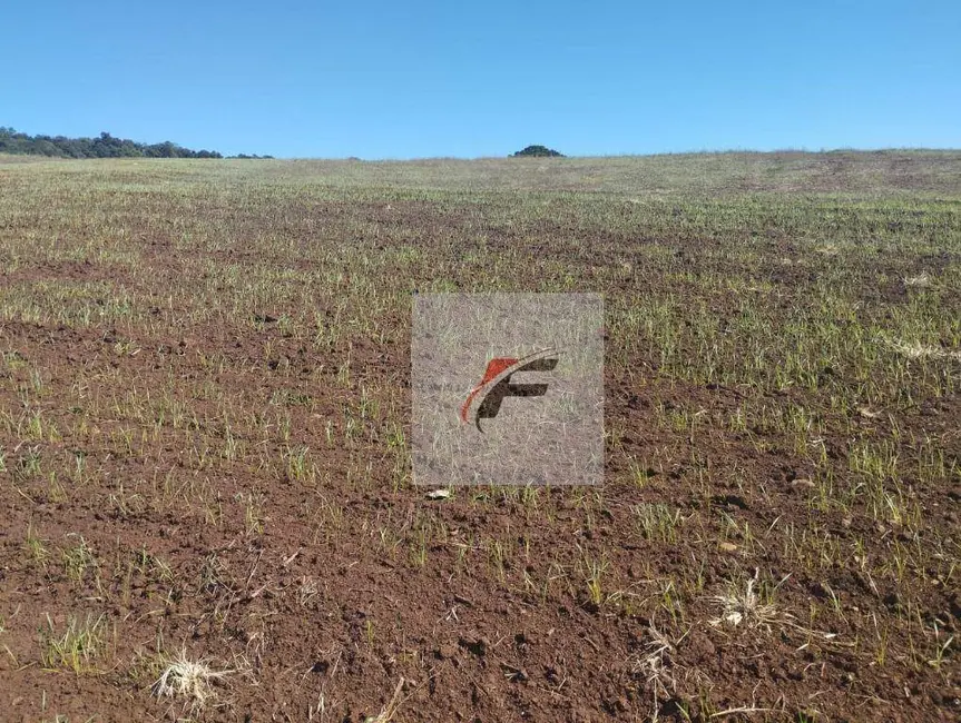 Foto 2 de Fazenda / Haras à venda, 677600m2 em Quitandinha - PR