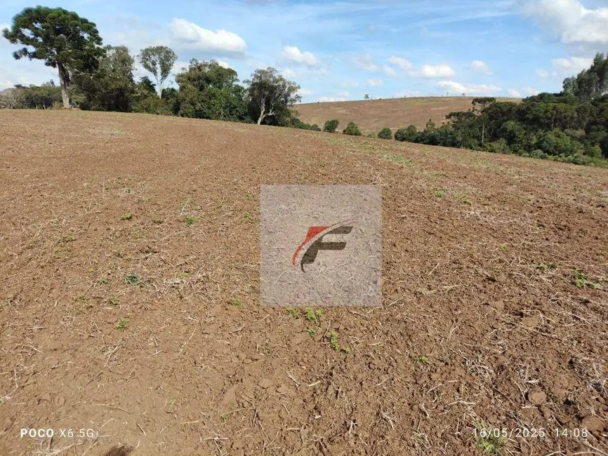 Foto 6 de Fazenda / Haras à venda, 677600m2 em Quitandinha - PR