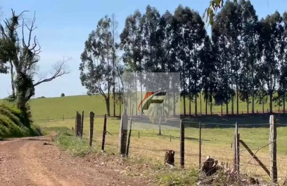 Foto 4 de Fazenda / Haras à venda, 968000m2 em Centro, Irati - PR