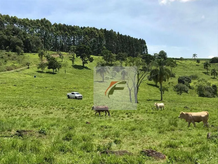 Foto 5 de Fazenda / Haras à venda, 968000m2 em Centro, Irati - PR