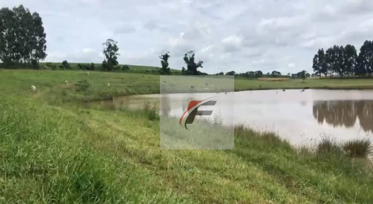 Foto 2 de Fazenda / Haras à venda, 968000m2 em Centro, Irati - PR