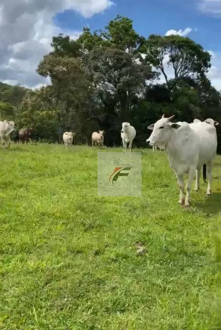Foto 6 de Fazenda / Haras à venda, 968000m2 em Centro, Irati - PR
