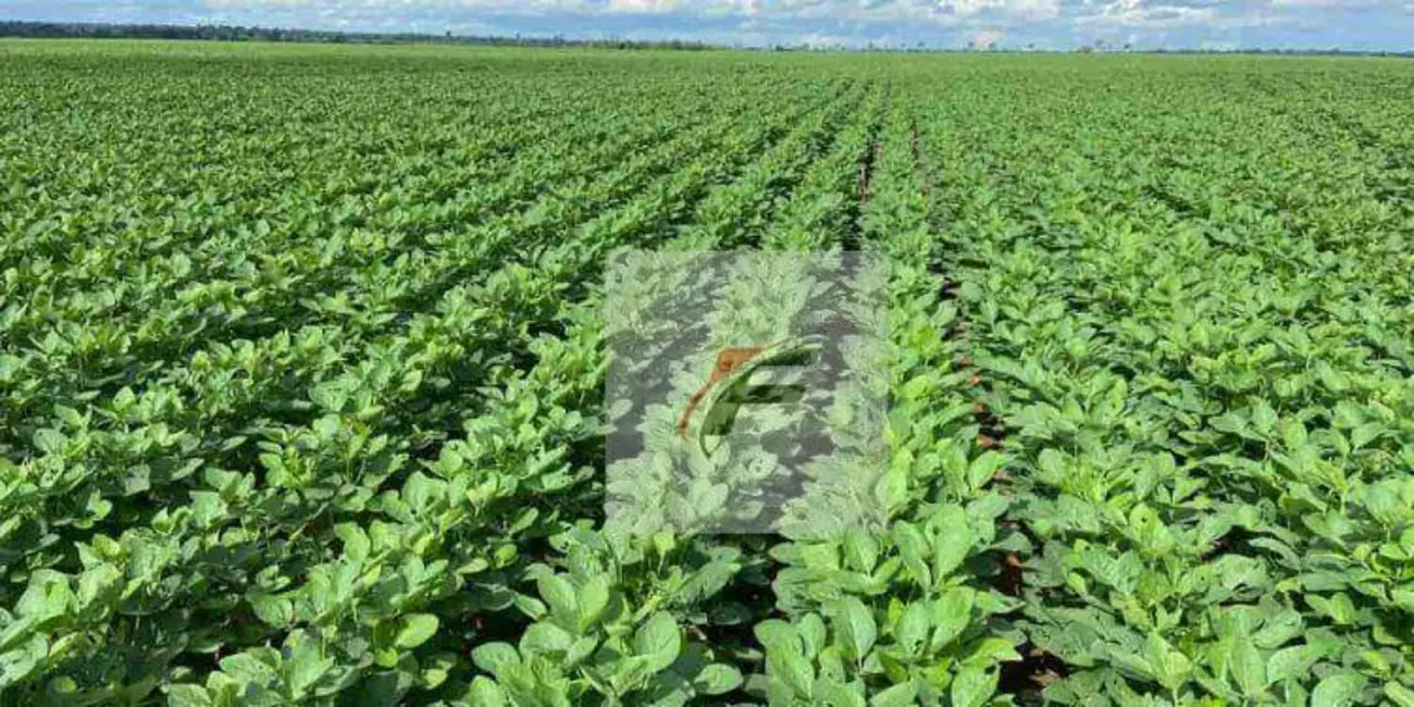 Foto 1 de Fazenda / Haras à venda, 10865800m2 em Centro, Ipora - PR