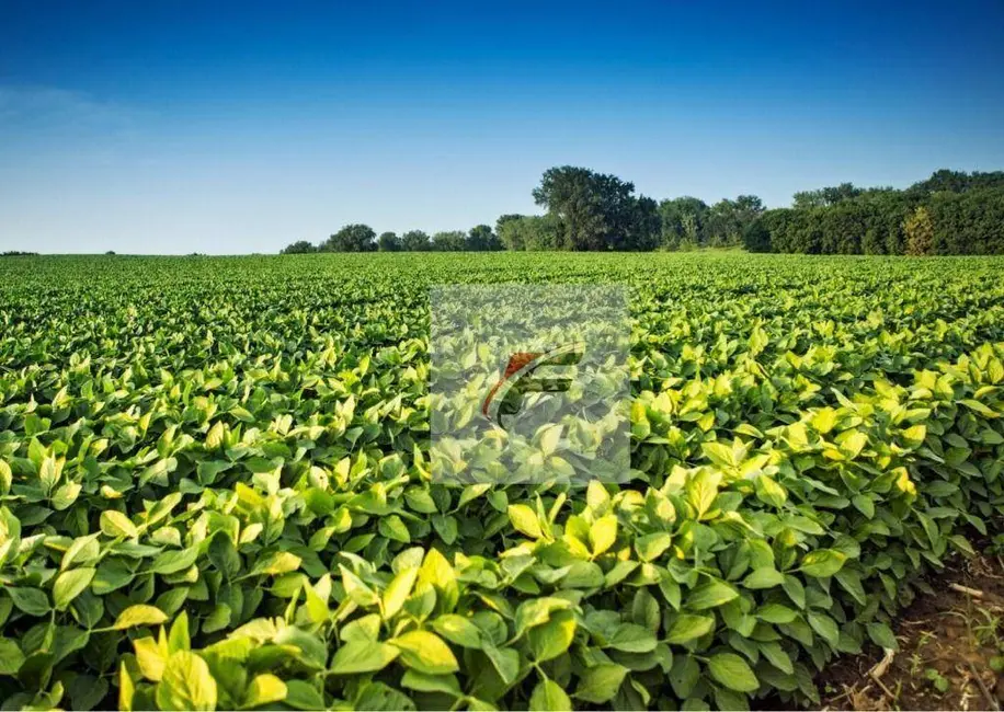 Foto 3 de Fazenda / Haras à venda, 10865800m2 em Centro, Ipora - PR