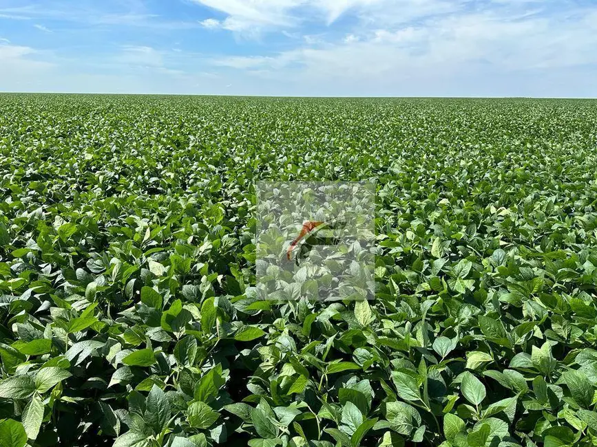 Foto 2 de Fazenda / Haras à venda, 10865800m2 em Centro, Ipora - PR