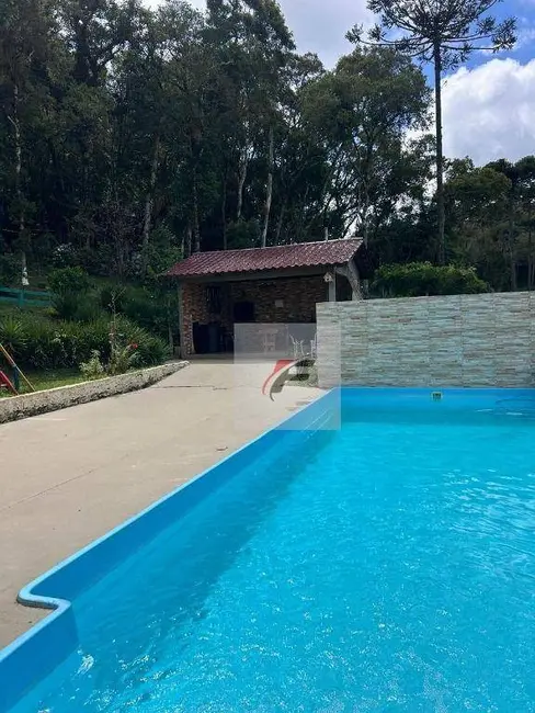 Foto 7 de Chácara com 3 quartos à venda, 5000m2 em Centro, Mandirituba - PR