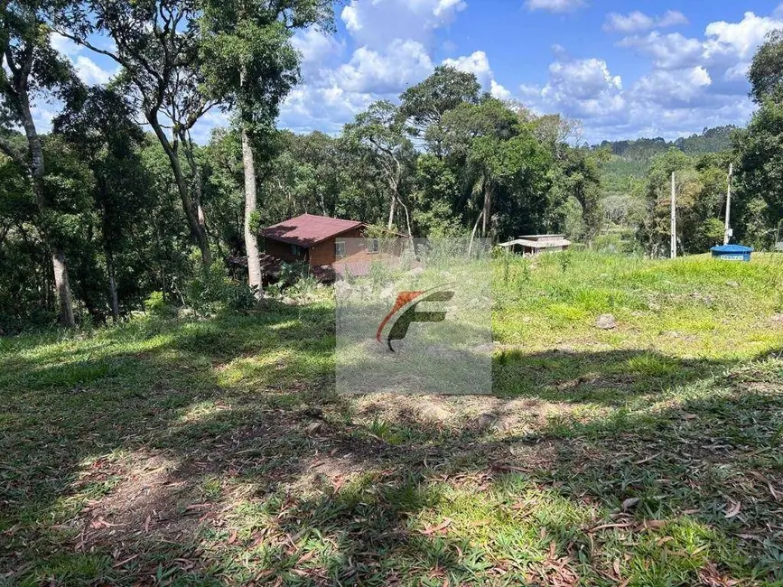 Foto 9 de Chácara com 3 quartos à venda, 6296m2 em Centro, Mandirituba - PR
