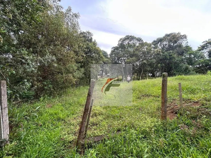 Foto 3 de Chácara com 3 quartos à venda, 20000m2 em Centro, Mandirituba - PR