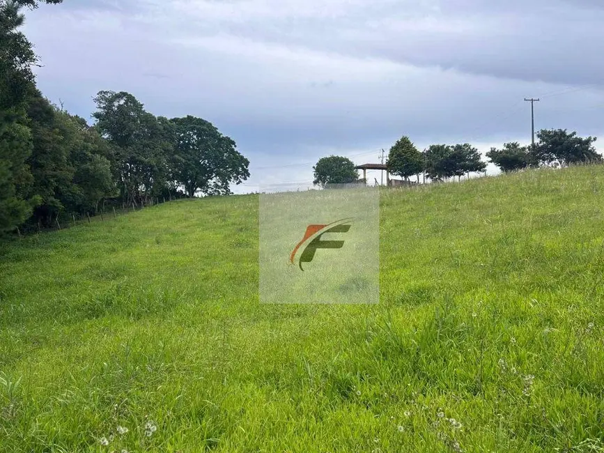 Foto 6 de Chácara com 3 quartos à venda, 20000m2 em Centro, Mandirituba - PR