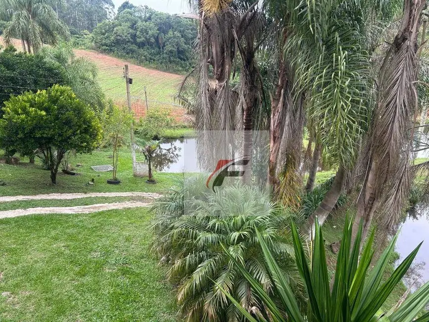 Foto 6 de Chácara com 3 quartos à venda, 14800m2 em Quitandinha - PR