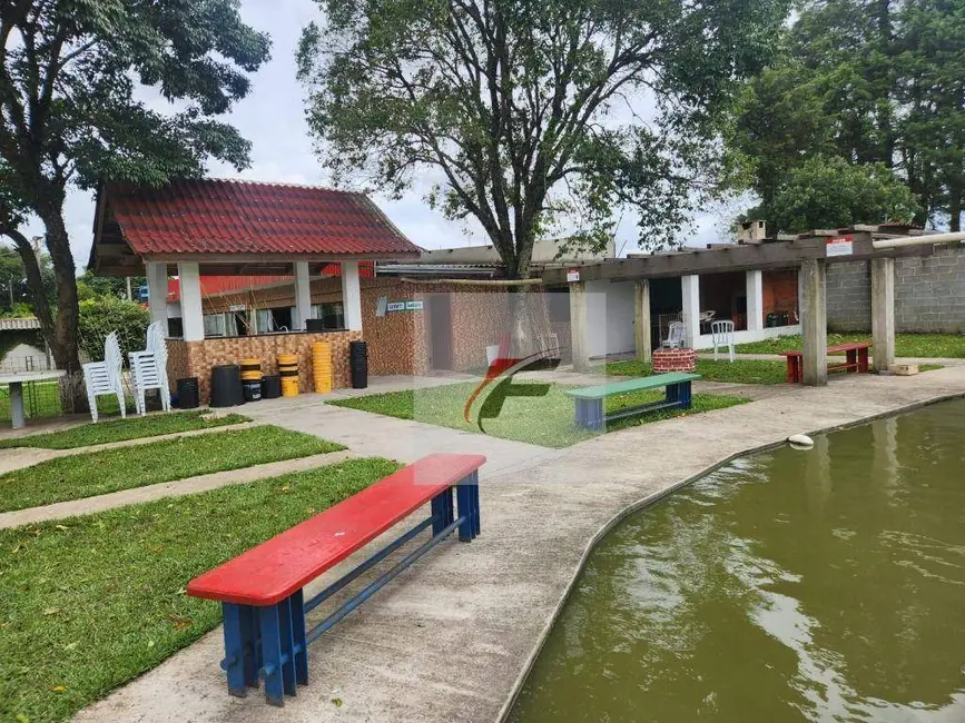 Foto 6 de Chácara com 3 quartos à venda, 10000m2 em Centro, Pinhais - PR