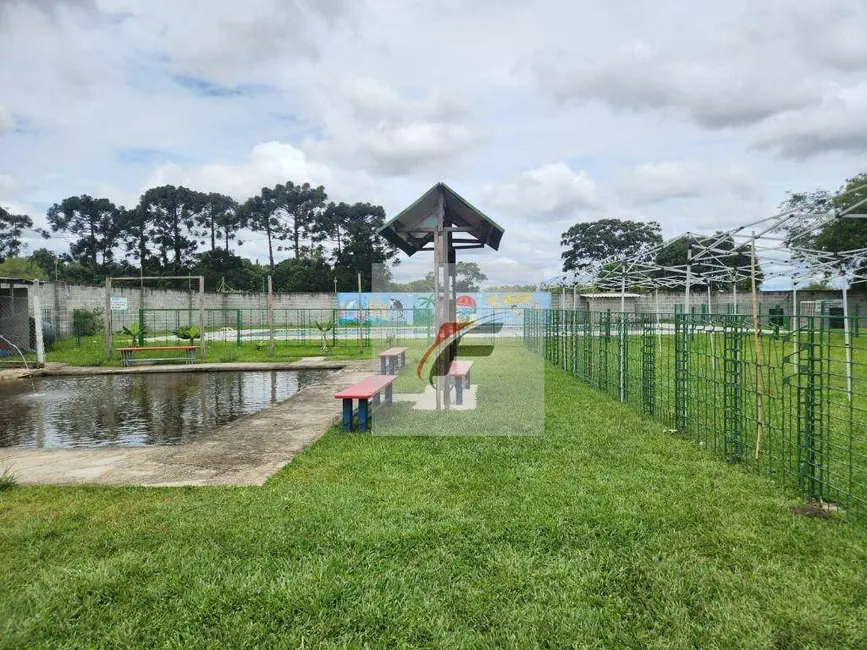 Foto 7 de Chácara com 3 quartos à venda, 10000m2 em Centro, Pinhais - PR