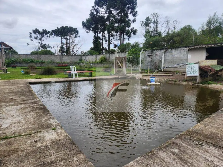 Foto 9 de Chácara com 3 quartos à venda, 10000m2 em Centro, Pinhais - PR