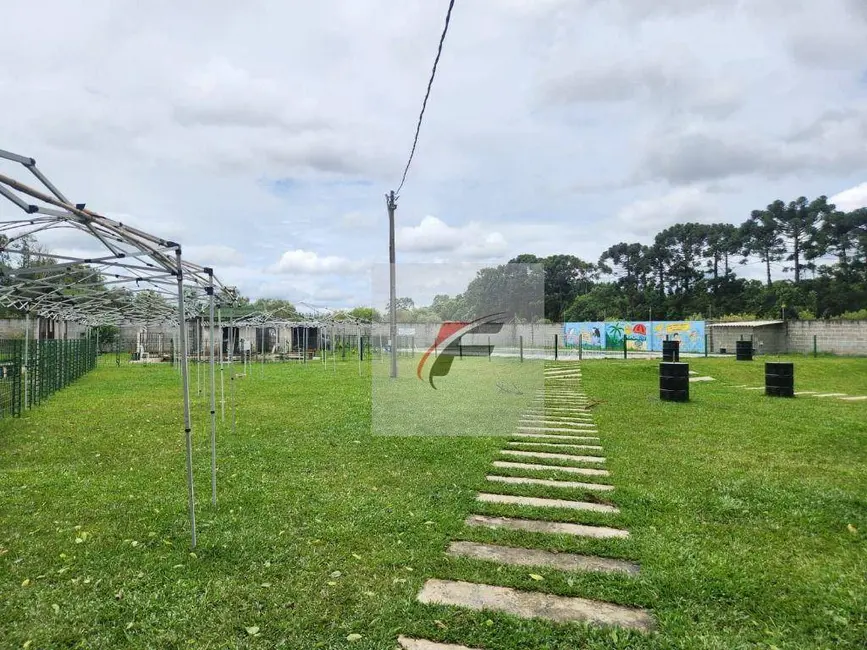 Foto 2 de Chácara com 3 quartos à venda, 10000m2 em Centro, Pinhais - PR