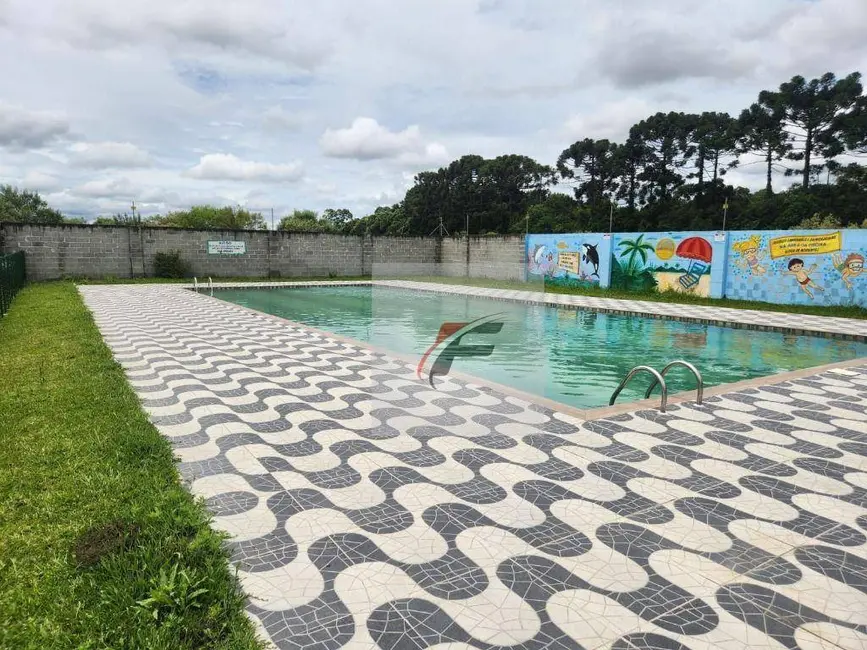 Foto 4 de Chácara com 3 quartos à venda, 10000m2 em Centro, Pinhais - PR