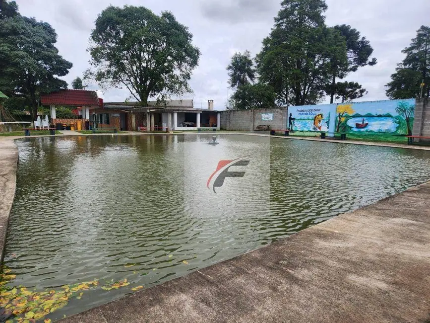 Foto 8 de Chácara com 3 quartos à venda, 10000m2 em Centro, Pinhais - PR