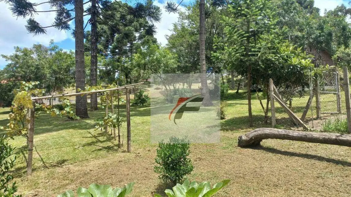 Chácara com 3 quartos à venda, 16900m2 em Agudos Do Sul - PR - imagem 4 Foto 4 de Chácara com 3 quartos à venda, 16900m2 em Agudos Do Sul - PR